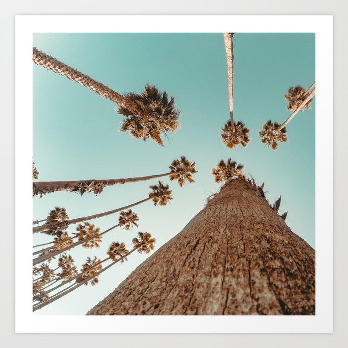 {1 of 2} Hug a Palm Tree // Tropical Summer Teal Blue Sky Art Print