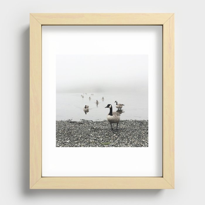 Canadian Geese + Fog Recessed Framed Print