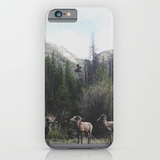 Bighorn Sheep iPhone & iPod Case
