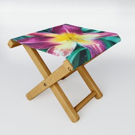 Lily in Color Folding Stool