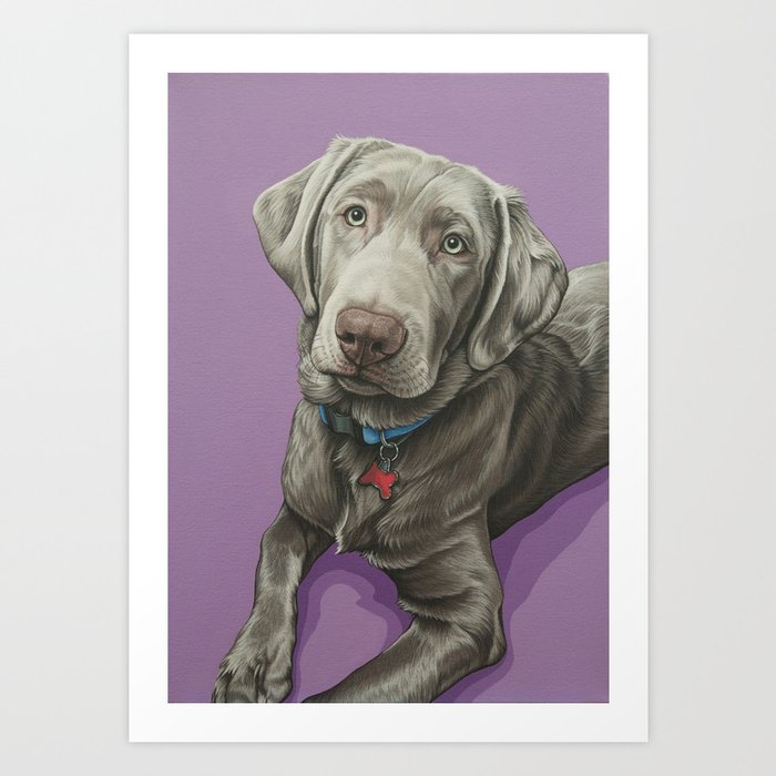 Sweet Silver Labrador Painting, Labrador, Silver Lab Art Art Print