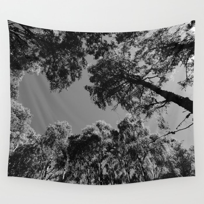 Scottish Highlands Summer Tree Canopy, in Black and White. Wall Tapestry