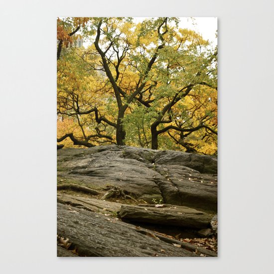 Central Park in the Fall Canvas Print