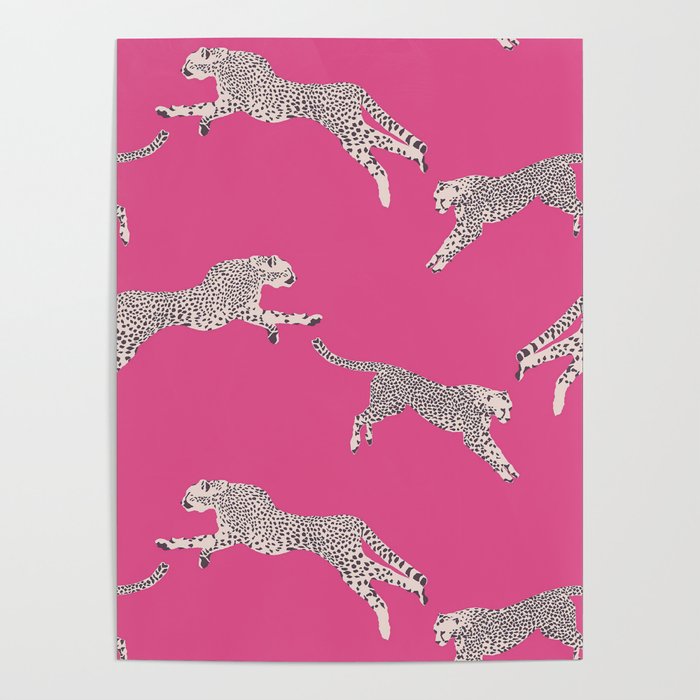 Leaping Cheetahs  Magenta Poster