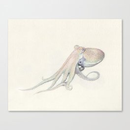 Octopus #3 Canvas Print