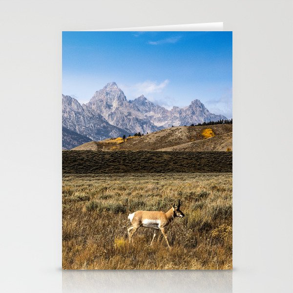 Walk About - Pronghorn Antelope Takes a Stroll on Autumn Day in Grand Teton National Park Wyoming Stationery Cards