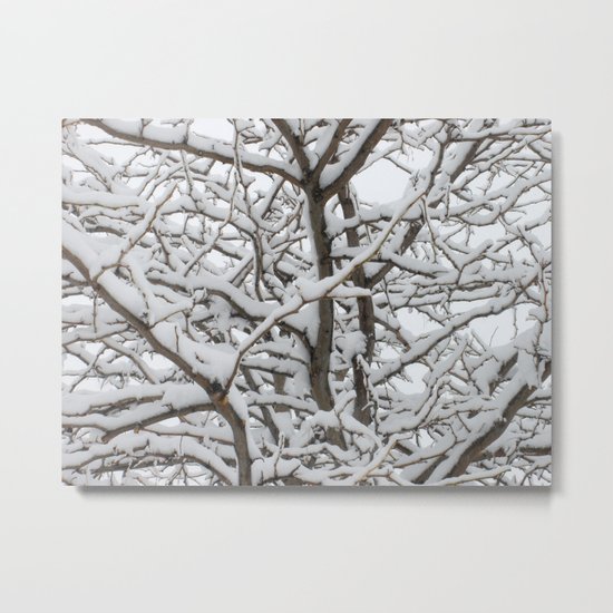 Snowy Tree Metal Print