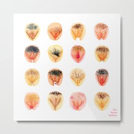 Vulva Diversity – Orange Metal Print