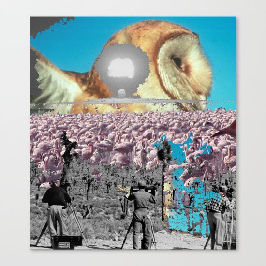 Owl and other things Canvas Print