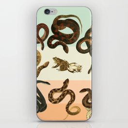 snake predator frog iPhone Skin