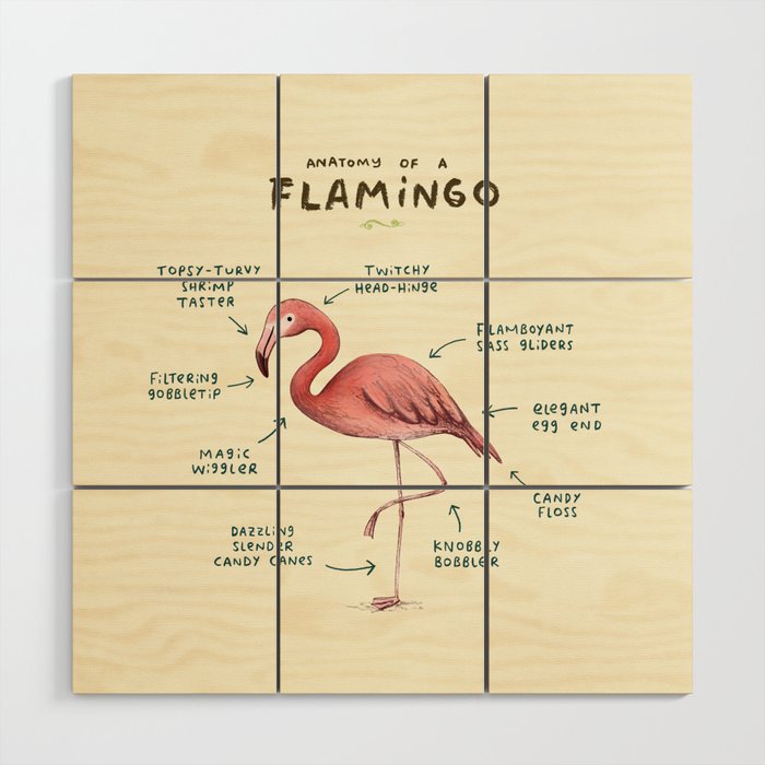 Anatomy of a Flamingo Wood Wall Art