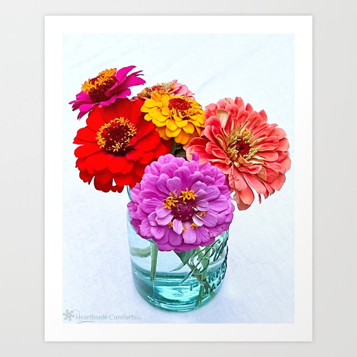 Ellie's Zinnia Bouquet in Ball Mason Jar Art Print by Hearthside Comforts |  Society6