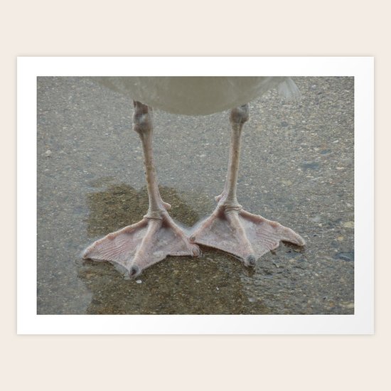 Feet Art Print