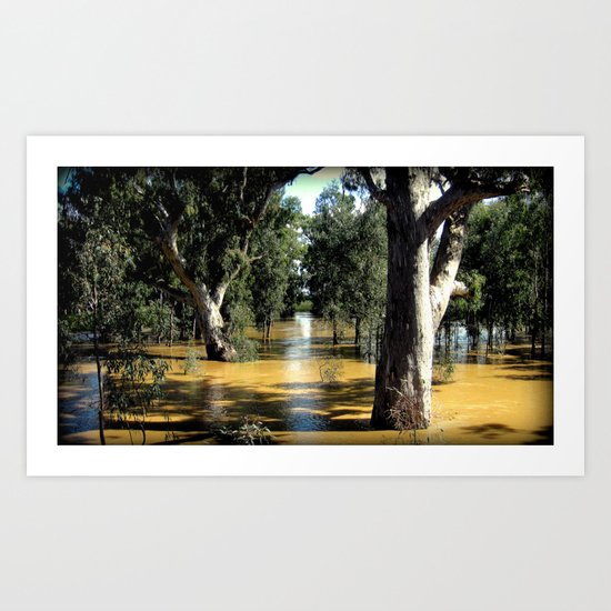 Light & Shadows Art Print