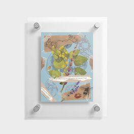 Creation Floating Acrylic Print