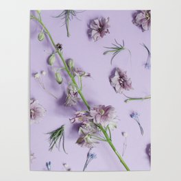 Pretty Lavender Flowers Poster