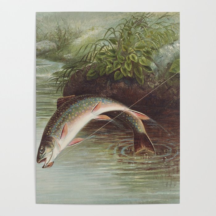 Leaping Brook Trout Poster