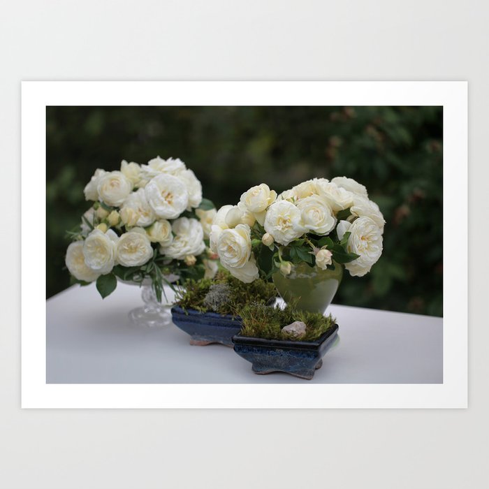 White roses Art Print