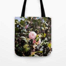 House Chrysanthemum Tote Bag