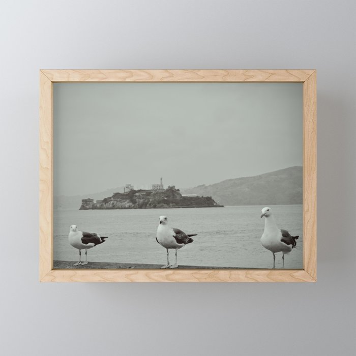 Alcatraz | San Francisco Bay | California Travel Photography Framed Mini Art Print