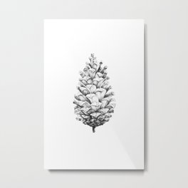 Pencil Drawing Pine Cone #3, Black and White Botanical Metal Print