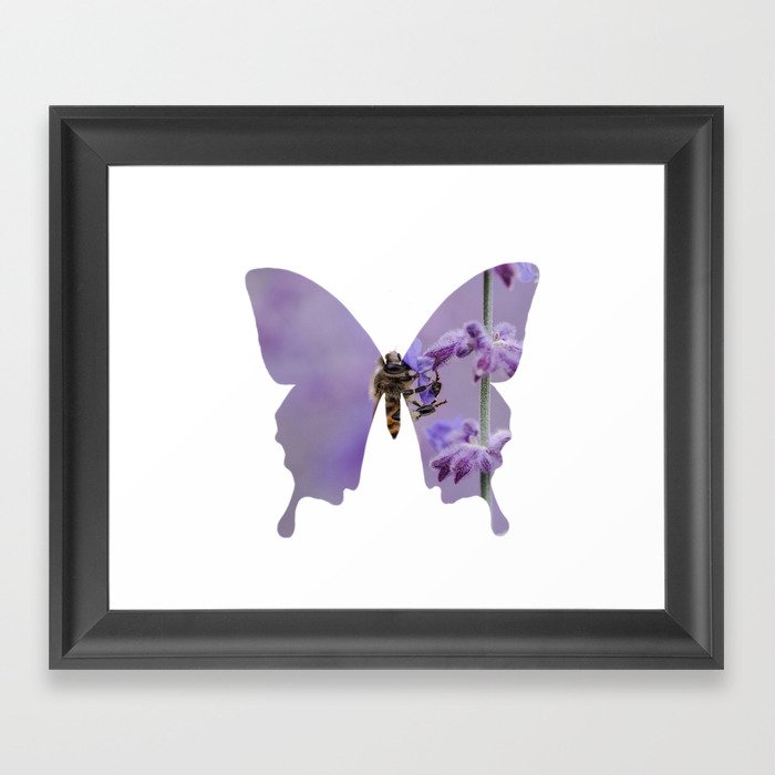 amazing butterfly Framed Art Print