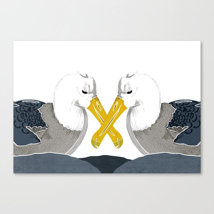 Albatross In Love Canvas Print