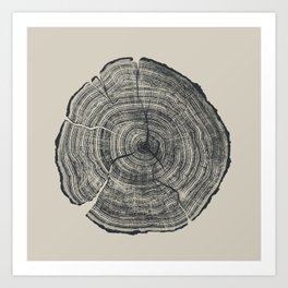 Hand-Drawn Oak Art Print | Drawing, Ink Pen, Line Art, Colored Pencil, Black And White, Natural, Log, Dan Hobday, Nature, Graphite 