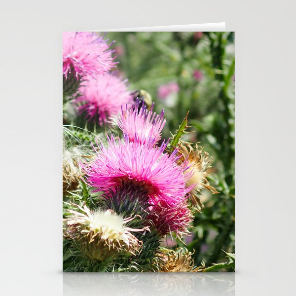 Purple Thistle Stationery Cards