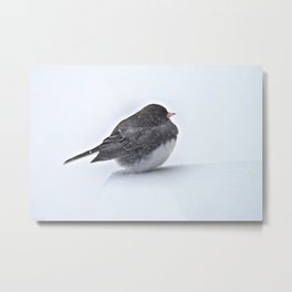 Brave Bird in a Blizzard Metal Print