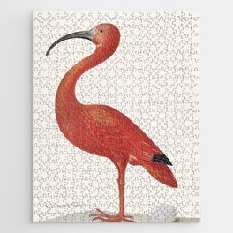 Scarlet Ibis with an Egg Jigsaw Puzzle