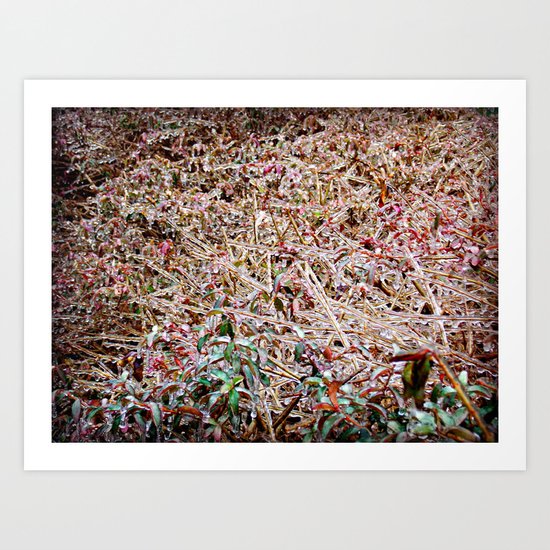 Iced Over Art Print