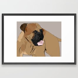 Bull Mastiff Framed Art Print