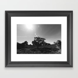 Arizona Framed Art Print