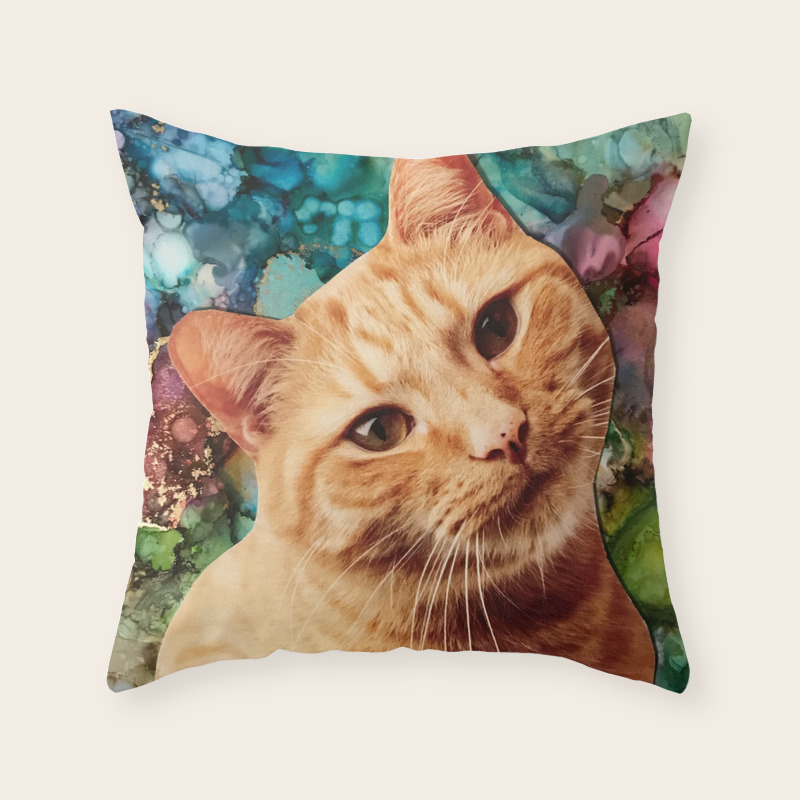 orange cat pillow