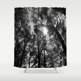 Dark Trees of the Scottish Highlands Shower Curtain