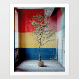 Urban Tree in Colorful Urban Building with A Tree – Architecture Photography Art Print