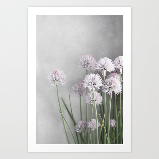 Lavender Flowers on Green Chives Art Print