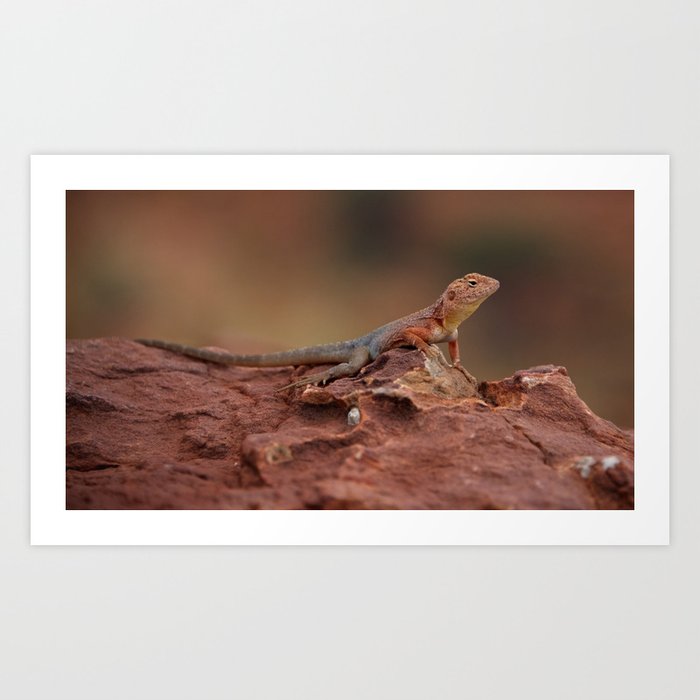 The Lizard at Kings Canyon Art Print