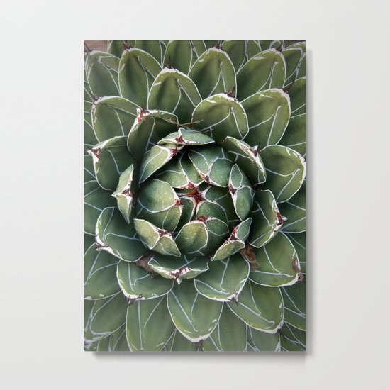 Large Succulent with Tiny Slug Metal Print