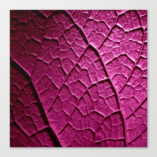 purple leaf Canvas Print