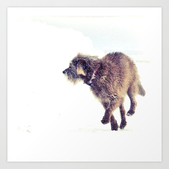 Snowy Puppy Art Print