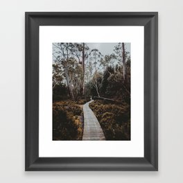 The Overland Track, Tasmania Framed Art Print