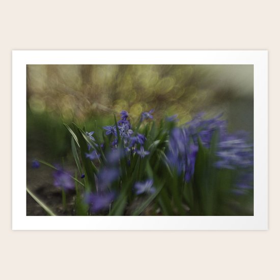 Secret Garden Art Print