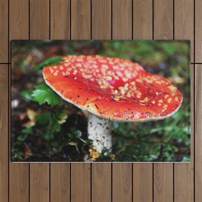 Mushroom Beauty Outdoor Rug
