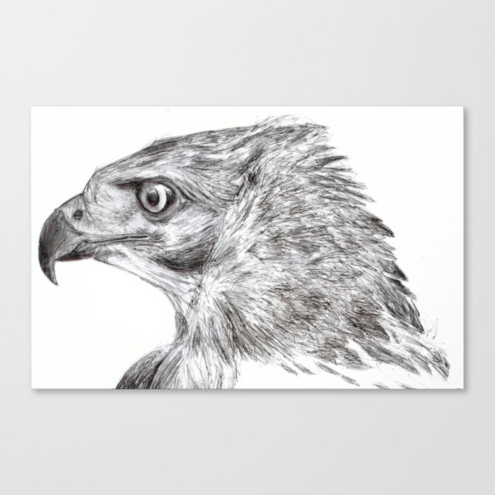 eagleman Canvas Print