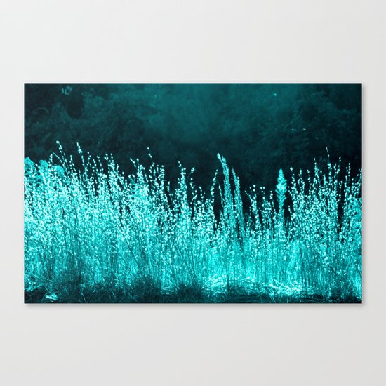 Grasses Aqua Canvas Print