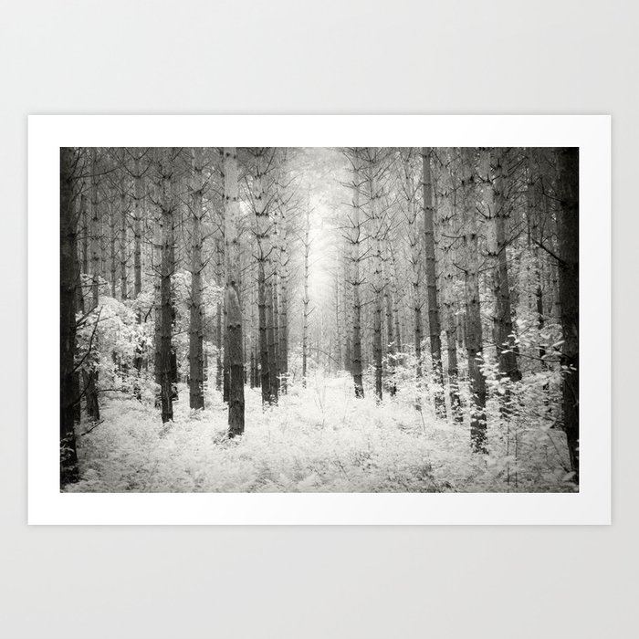 Into the Forest - Nr. 3 Art Print