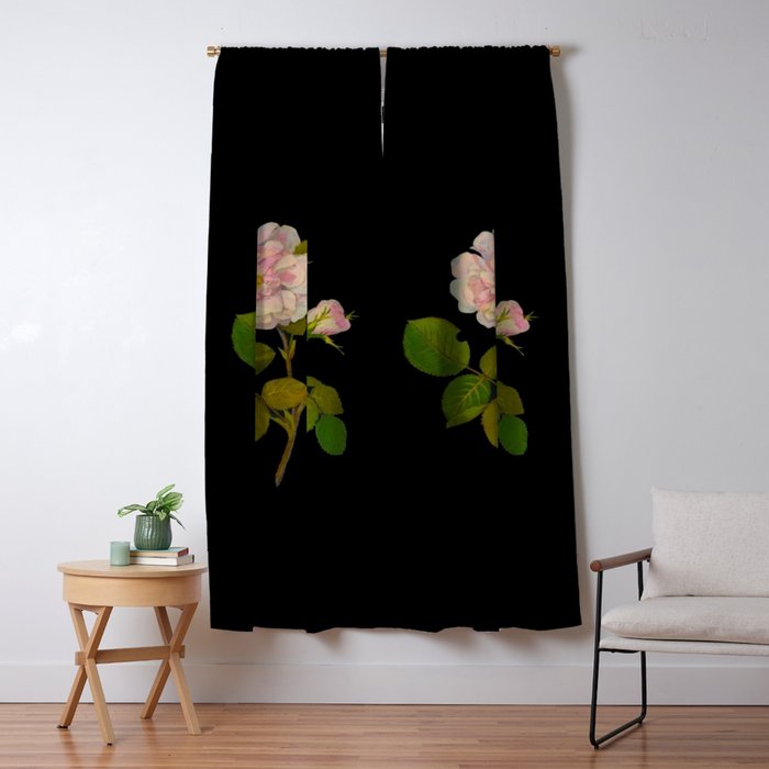 Rosa Gallica Mary Delany Delicate Paper Flower Collage Black