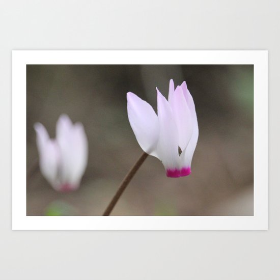 Queen of Light Art Print